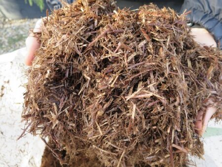 Strulch Mulch - image 2