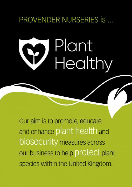 Plant Healthy - Provender Nurseries - Wholesale Nursery in Swanley, Kent