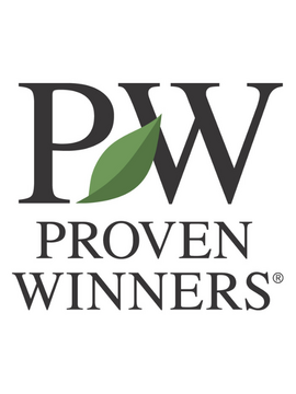 Provender Nurseries are now selling Proven Winners® herbaceous perennials!
