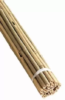 Bamboo Canes 6ft 28-32lb