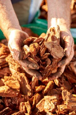 Bark Ornamental Nuggets