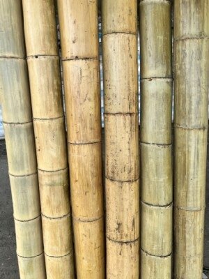 Bamboo Canes 400cm Chunky