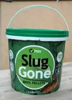 Slug Gone Wool Barrier