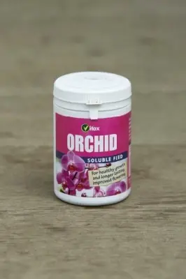 Orchid Feed