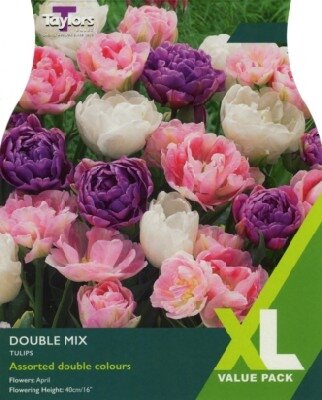 TULIPA Double Mixed