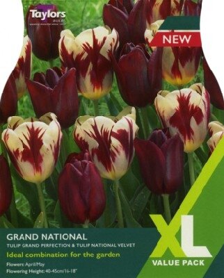 TULIPA Classic Combinations Grand National