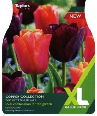 TULIPA Copper Collection