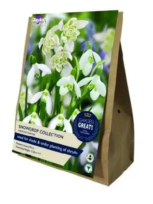 GALANTHUS species collection