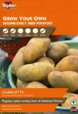 Solanum tuberosum 'Charlotte' (POTATO)