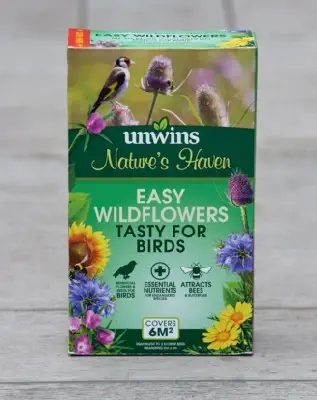 Nature's Haven Easy Wild Flowers Tasty for Birds