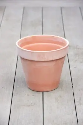 Pot Standard Flower Pot