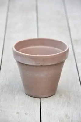 Pot Standard Flower Pot