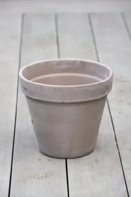 Pot Standard Flower Pot