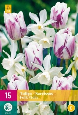 TULIP / NARCISSI FOLK STORY