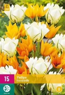 TULIPA 'Sunbath Mix'