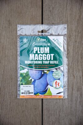 Plum Moth Trap