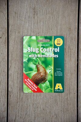 Slug Nematodes
